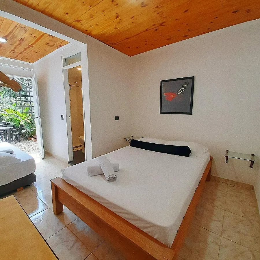 Cloud9 Hostel Medellin Colombia