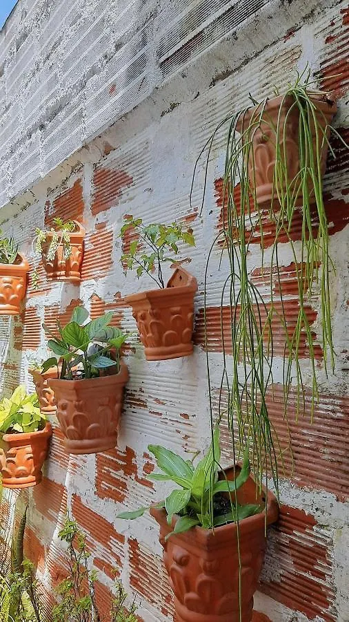 Cloud9 Hostel Medellin